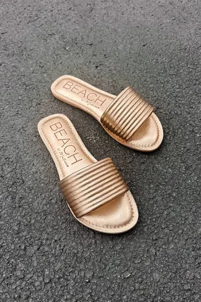 Beach Troller Gold