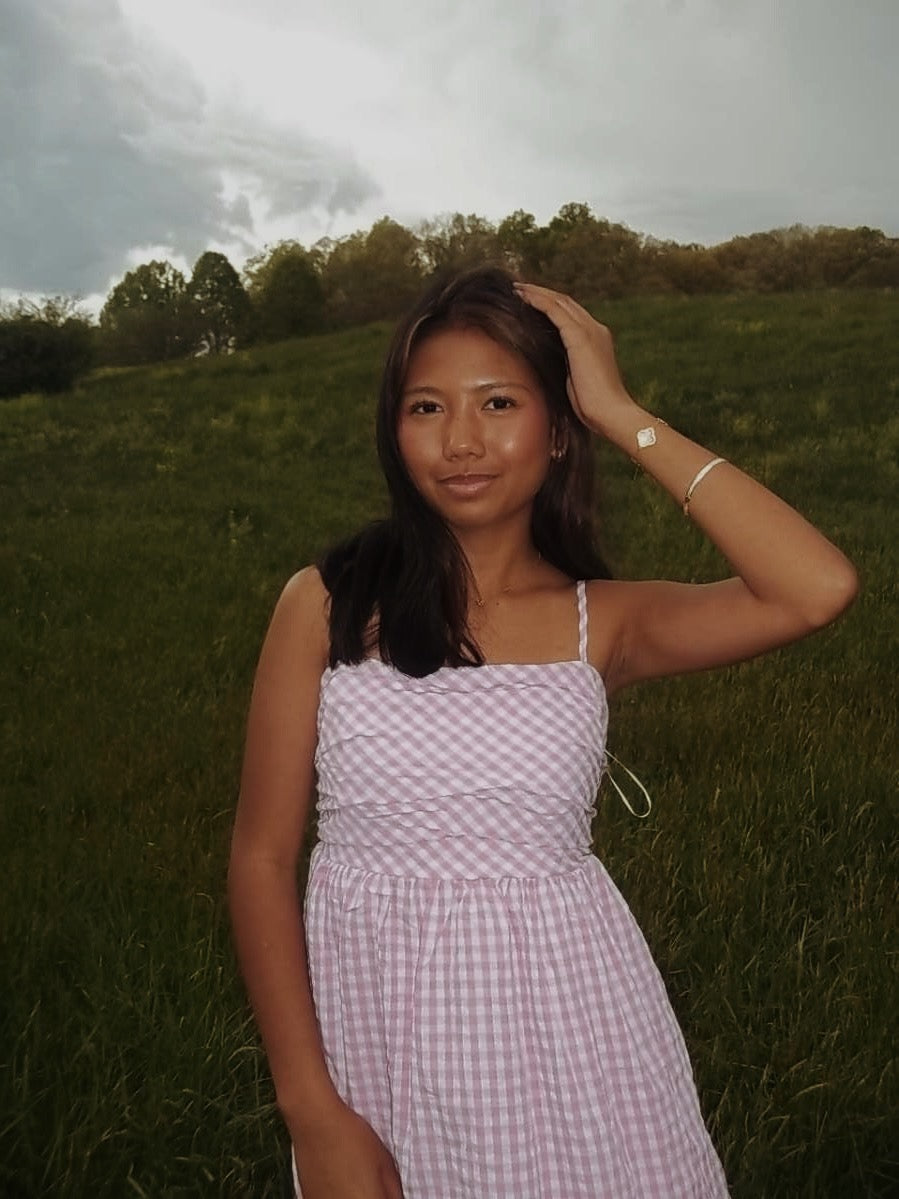 Pink Gingham Dress