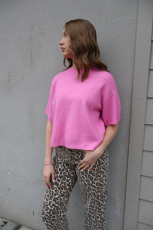 Blush Sweater Top
