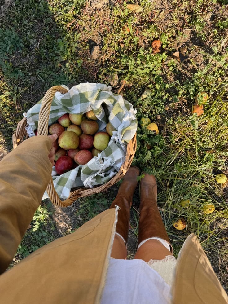 Apple orchard